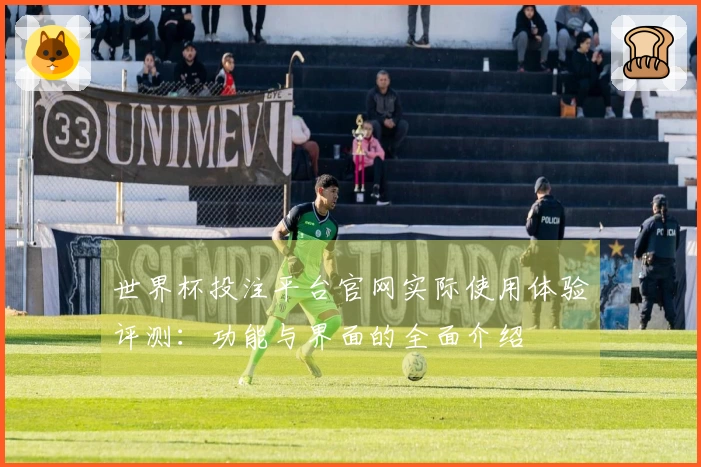 世界杯投注平台官网实际使用体验评测：功能与界面的全面介绍