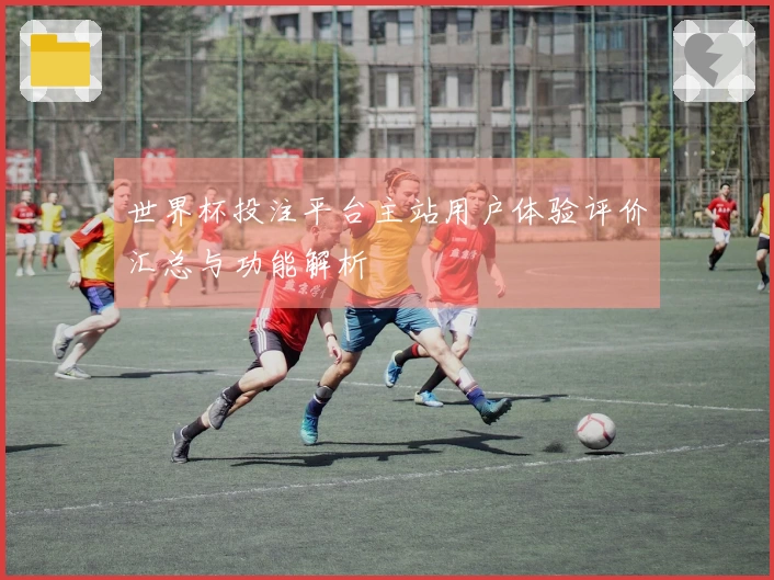 世界杯投注平台主站用户体验评价汇总与功能解析