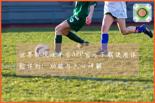 世界杯投注平台APP官方下载使用体验评测：功能与入口详解