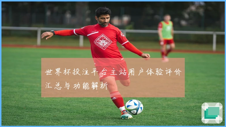 世界杯投注平台主站用户体验评价汇总与功能解析